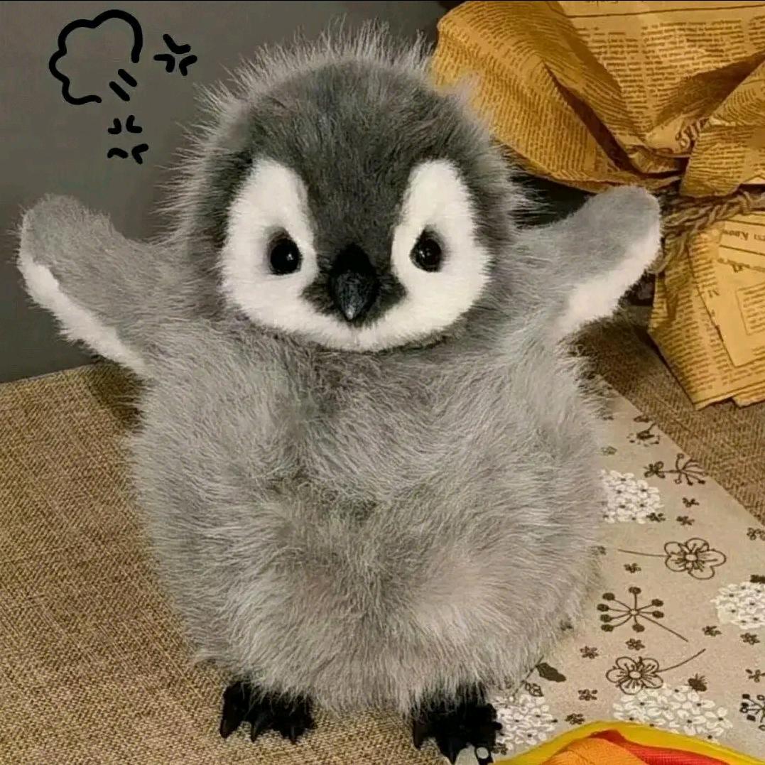 绝望西柚粒
