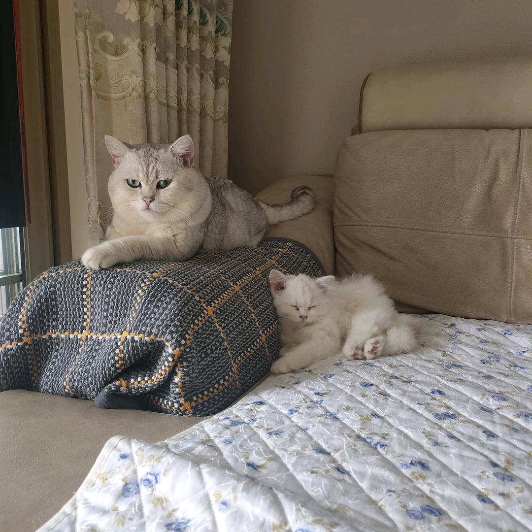 名字还没想好???