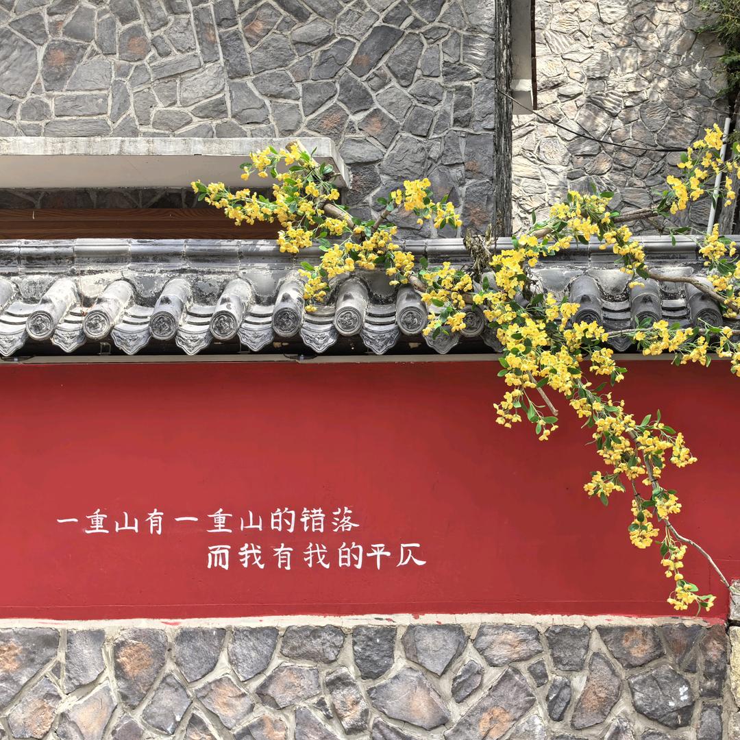 一抹阳光