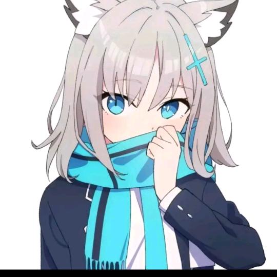 纸