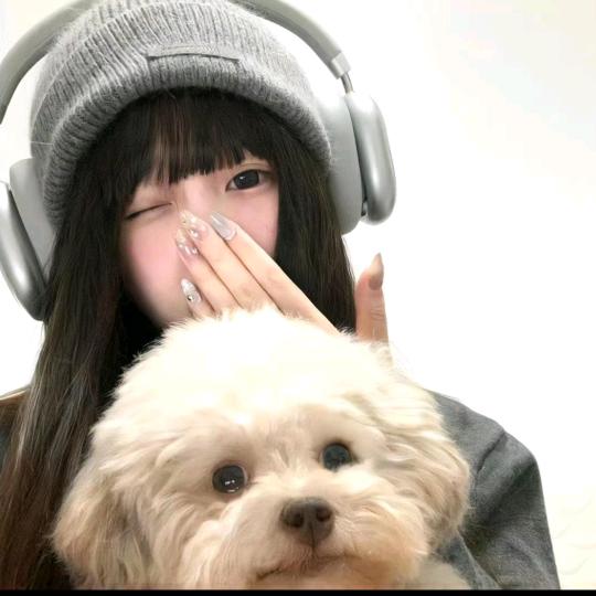 咸鱼进脑袋i💫