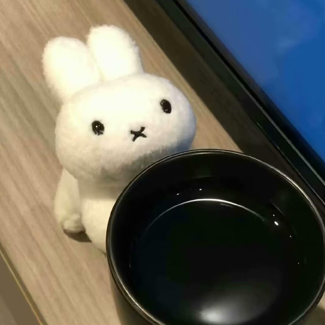 安辞辞