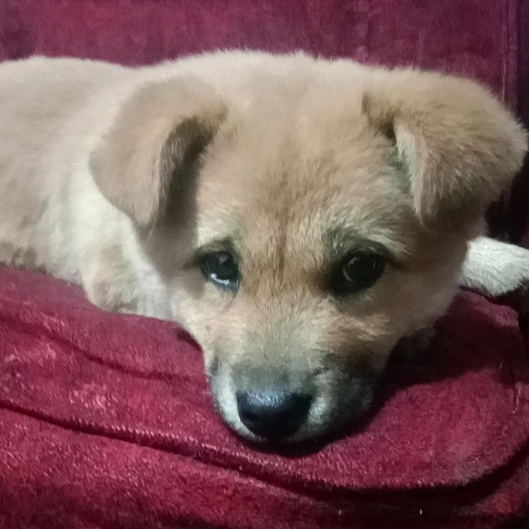 。。。？