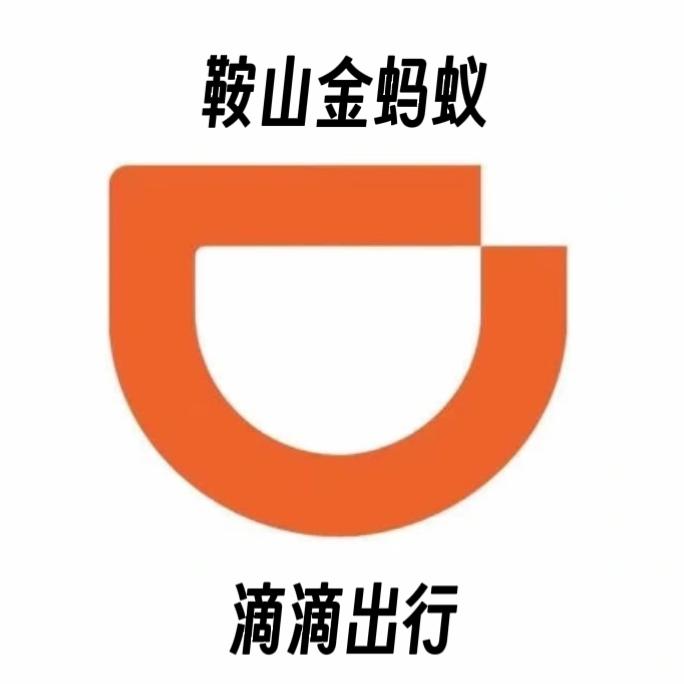 鞍山金蚂蚁汽车租赁有限公司