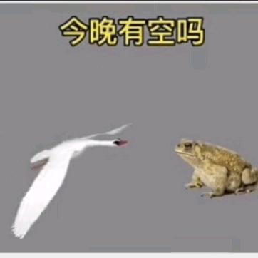 彳亍者