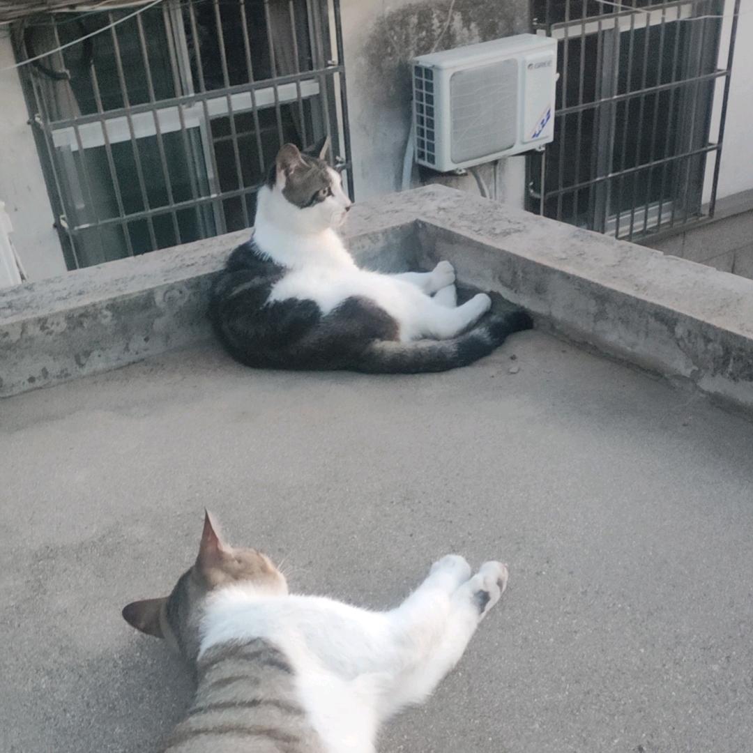 小雪家果园（栖霞苹果）