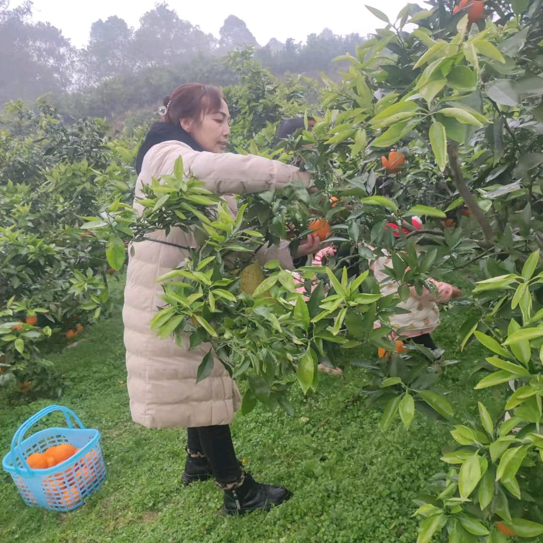 🐯往后余生，好好爱自己