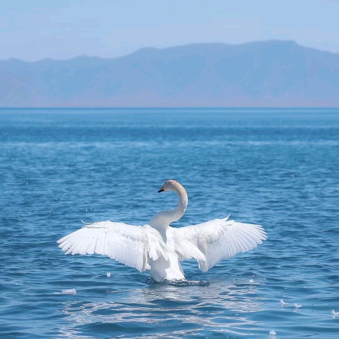 𝓵𝓾𝓬𝓴𝔂