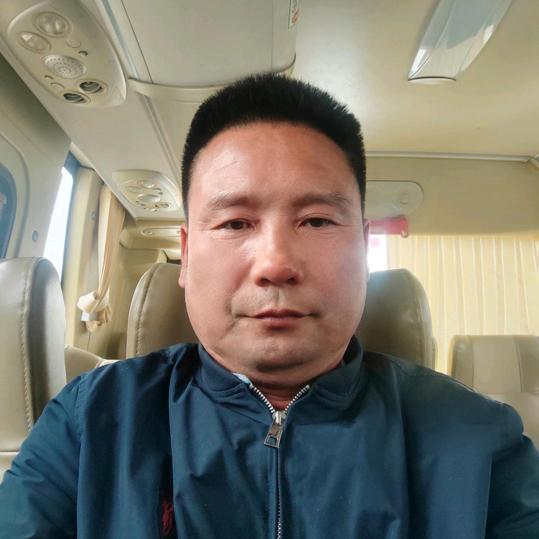 精品元宝枫