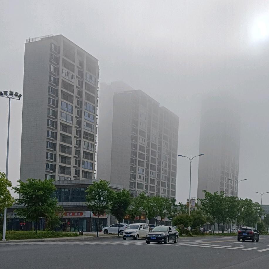 静悟放随