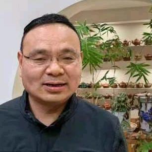 紫绣锦砂