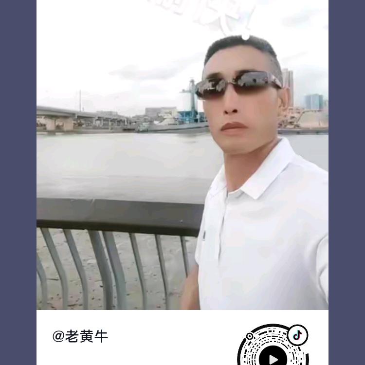 老黄牛