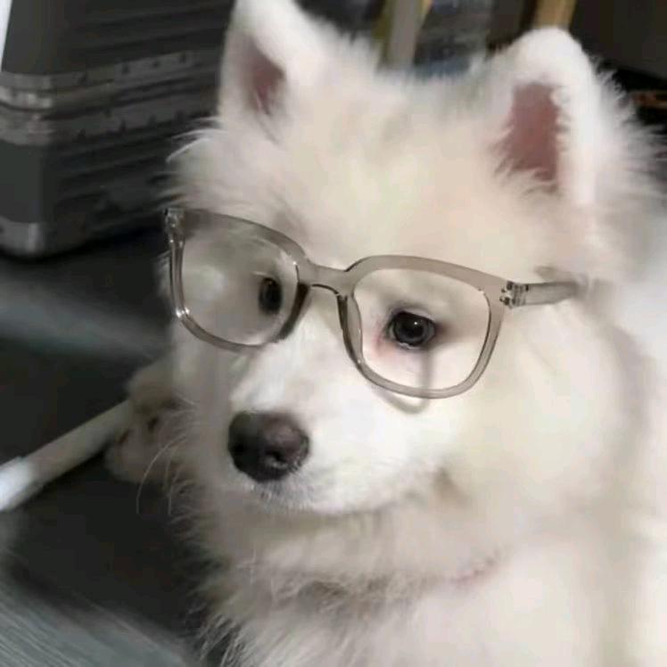 上弦月