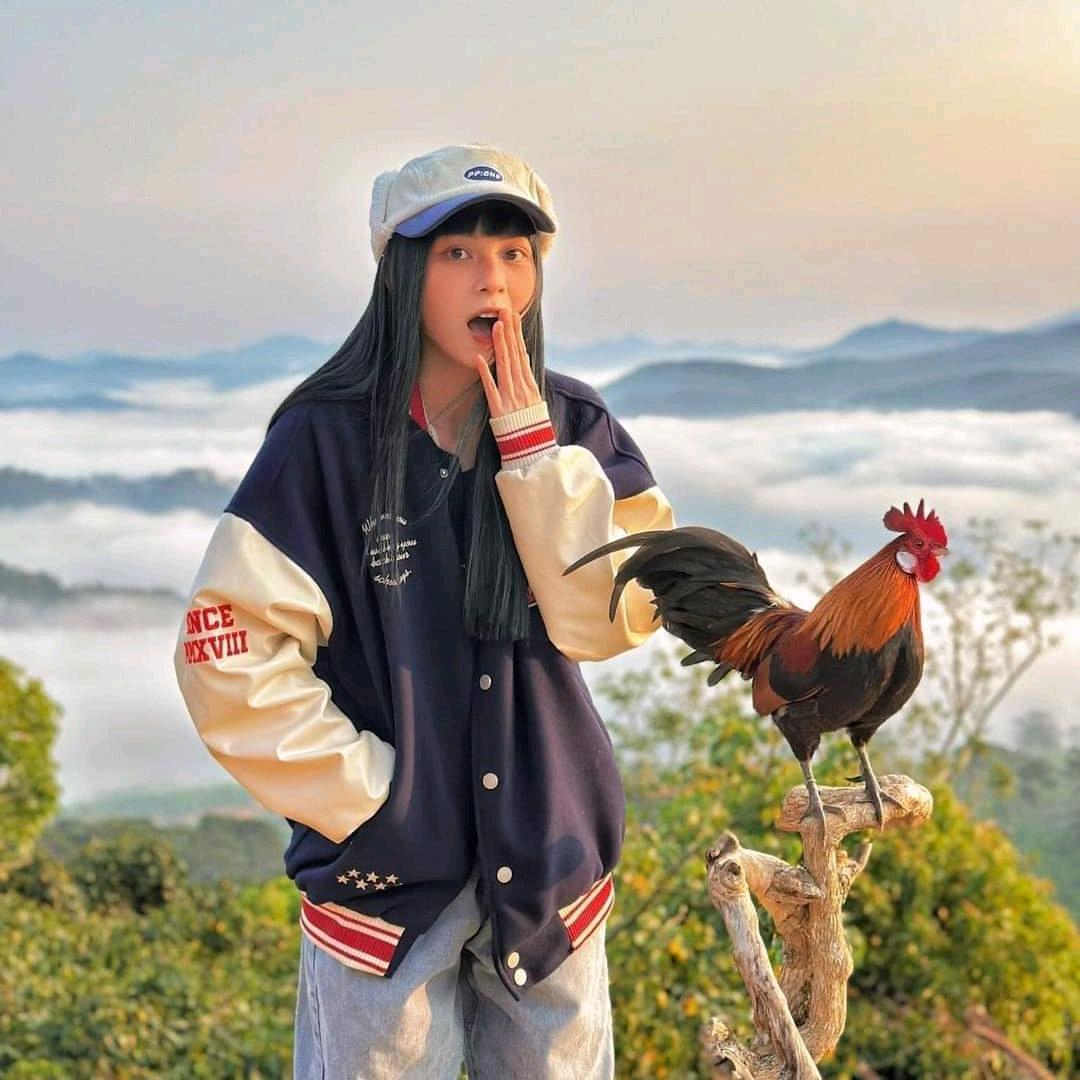 哆依°