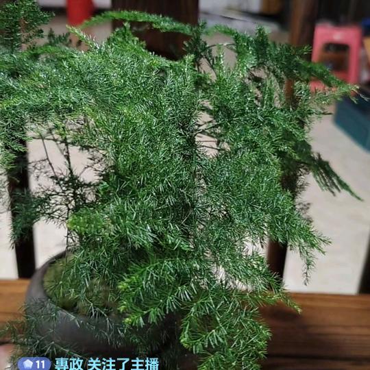 我就是我