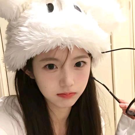 你是笨蛋吗