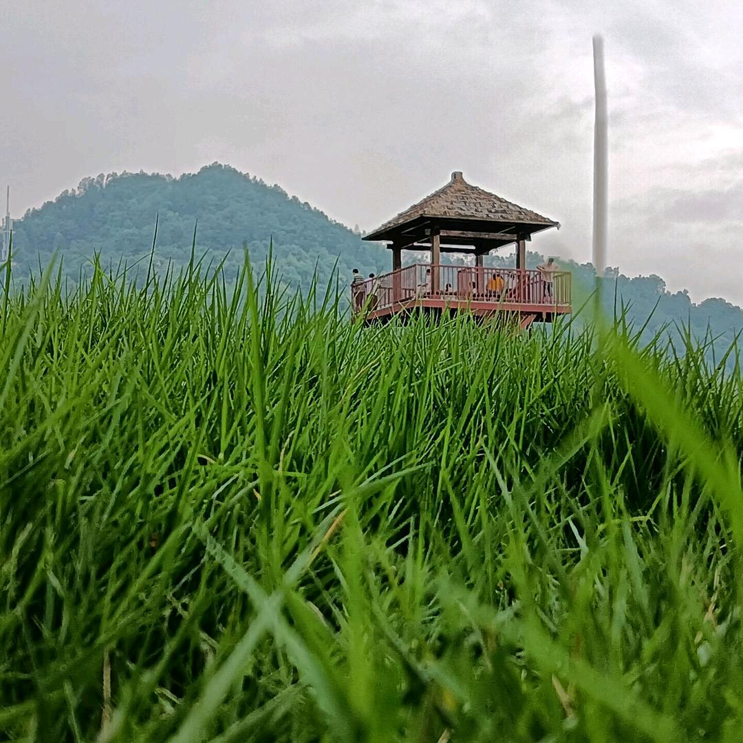 相信未来