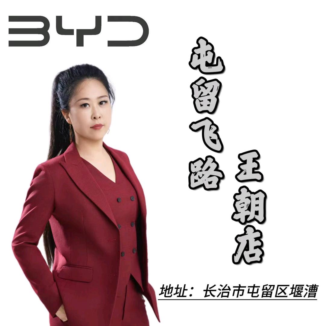 屯留飞路汽车销售（嫂子）