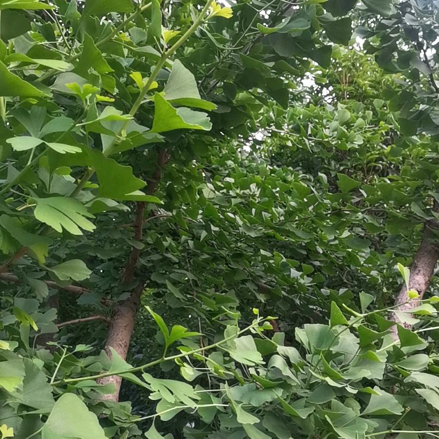 珍惜 眼前人