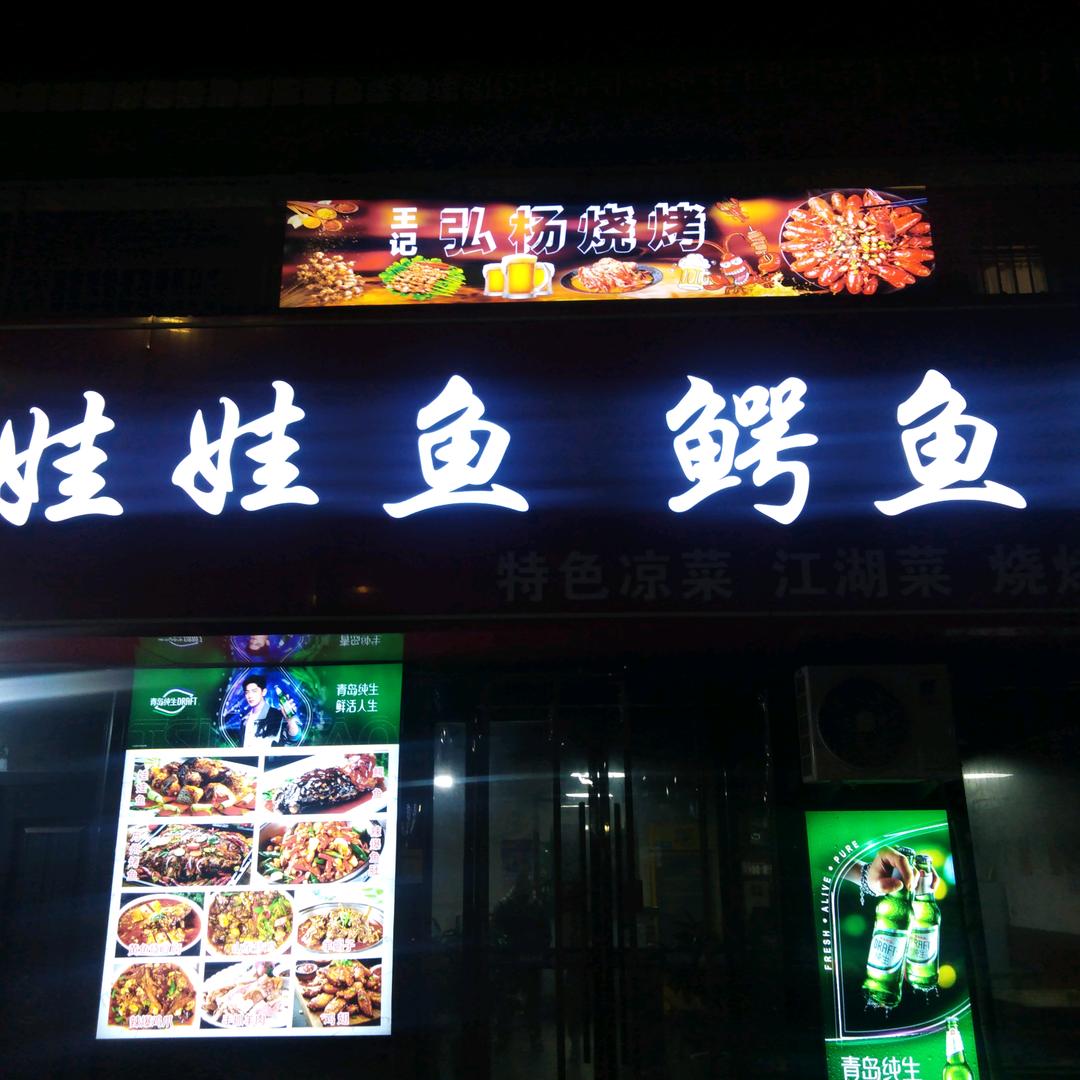 弘杨娃娃鱼鳄鱼