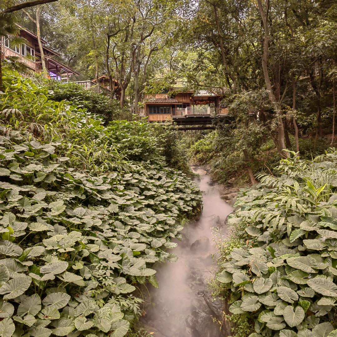 小七