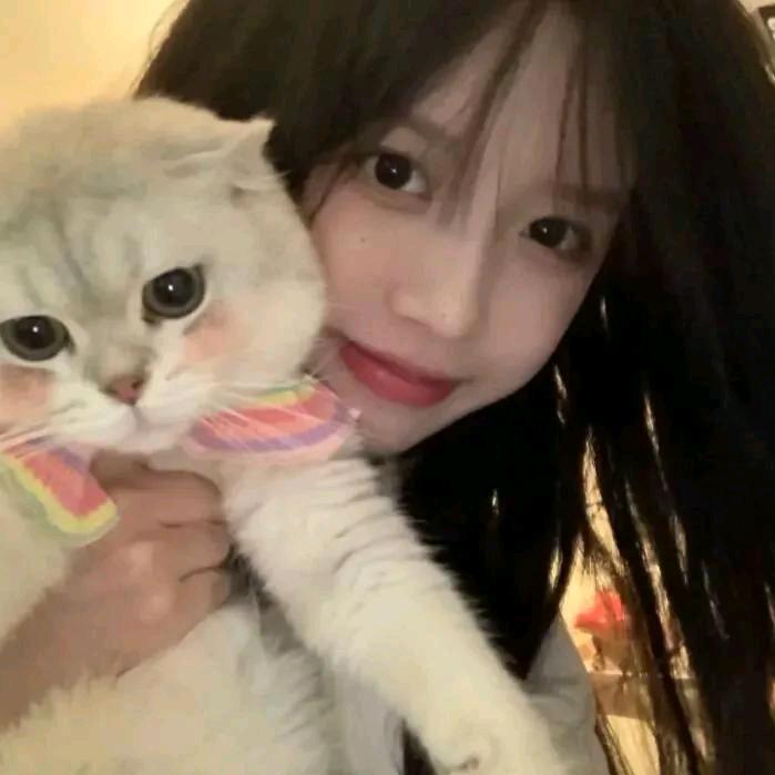 z鹿:-O