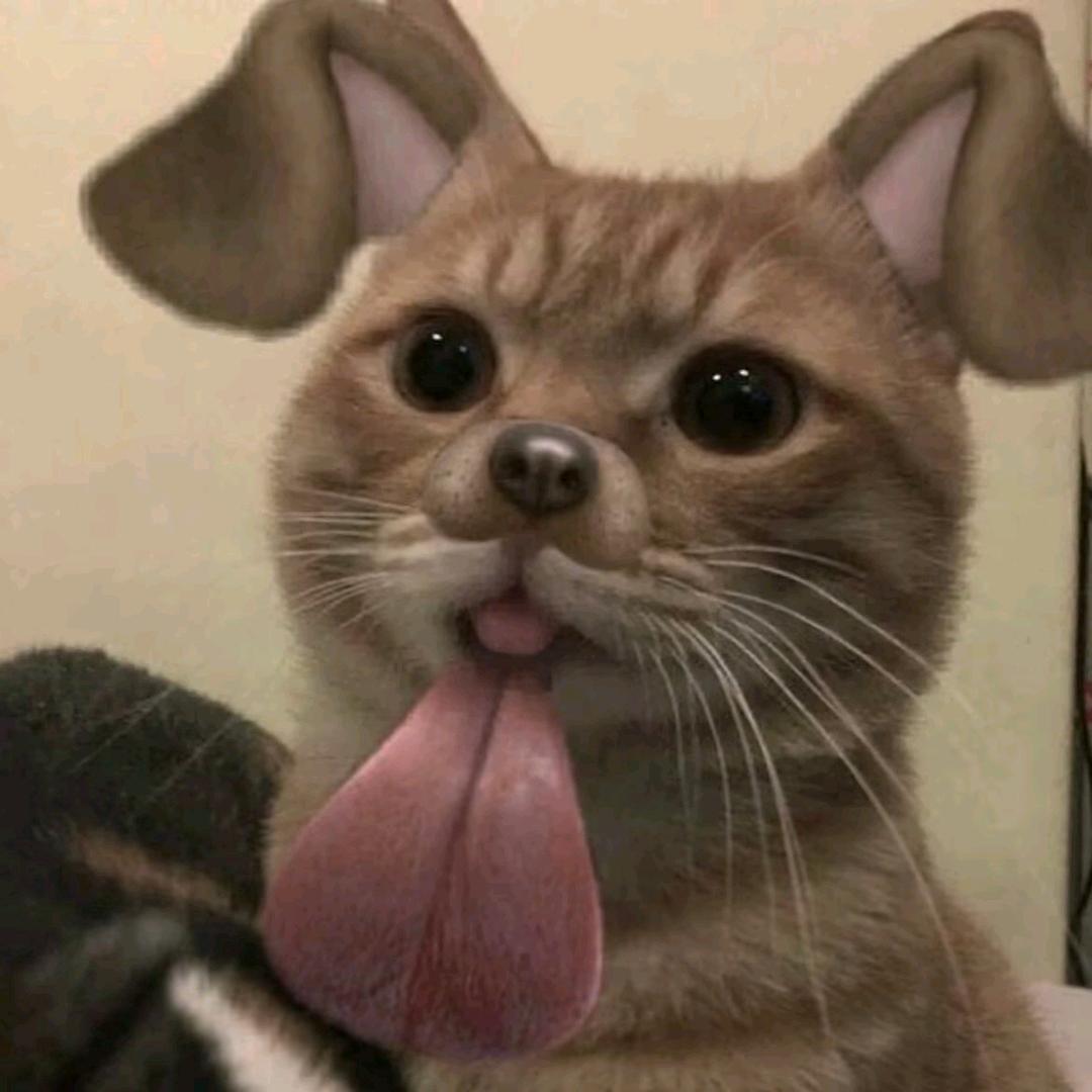 养只缺牙🐶（限流中）