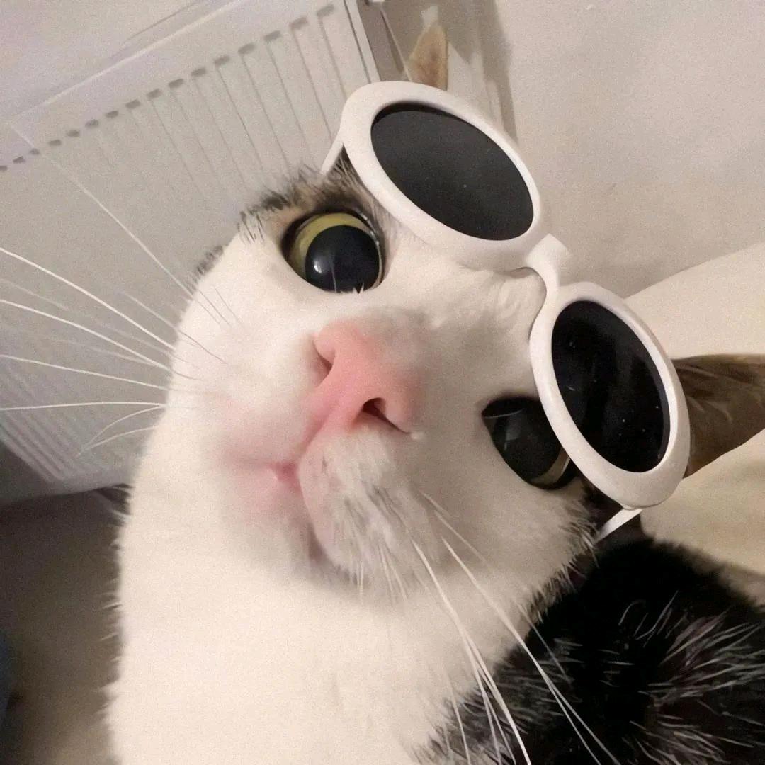 洺