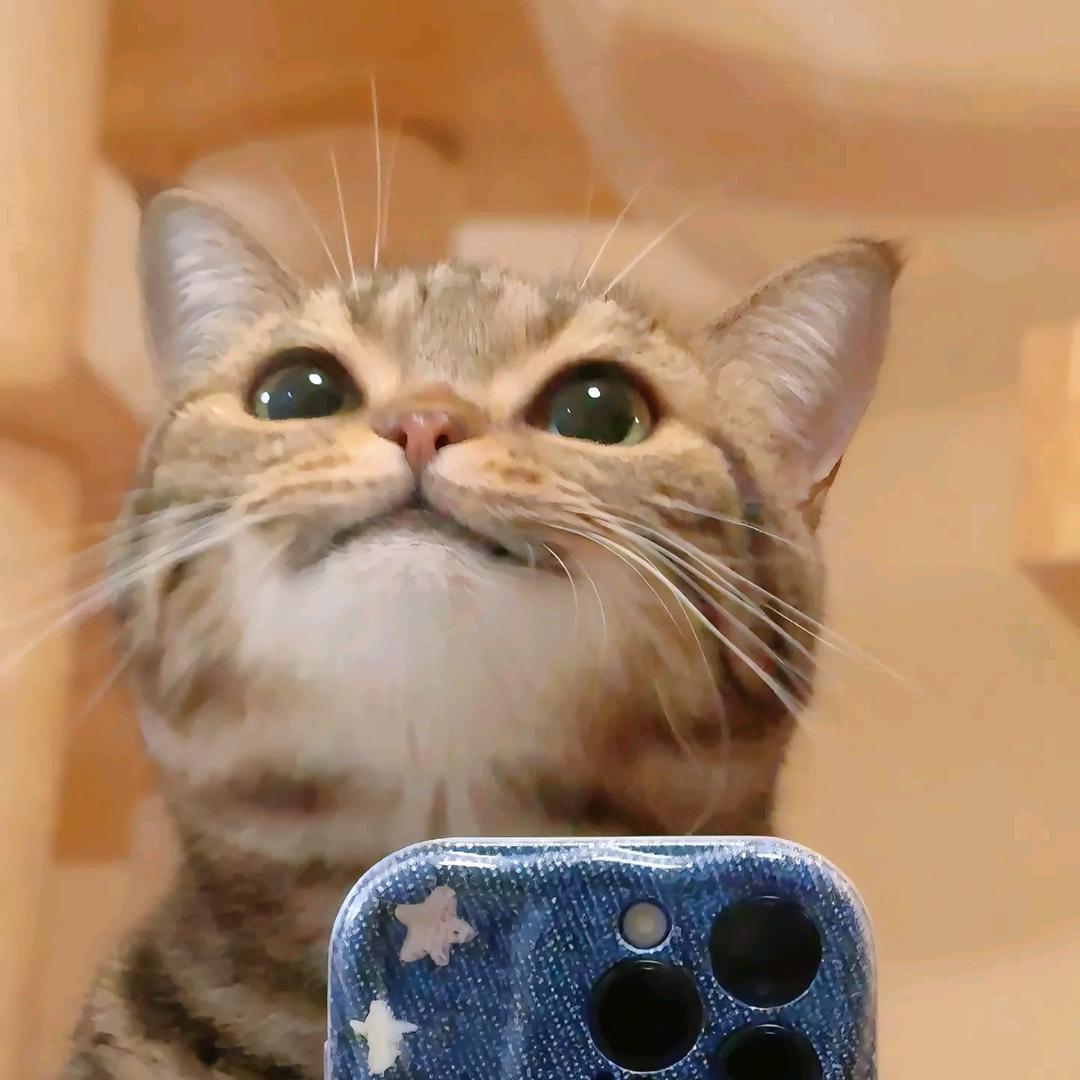 fa卷头像