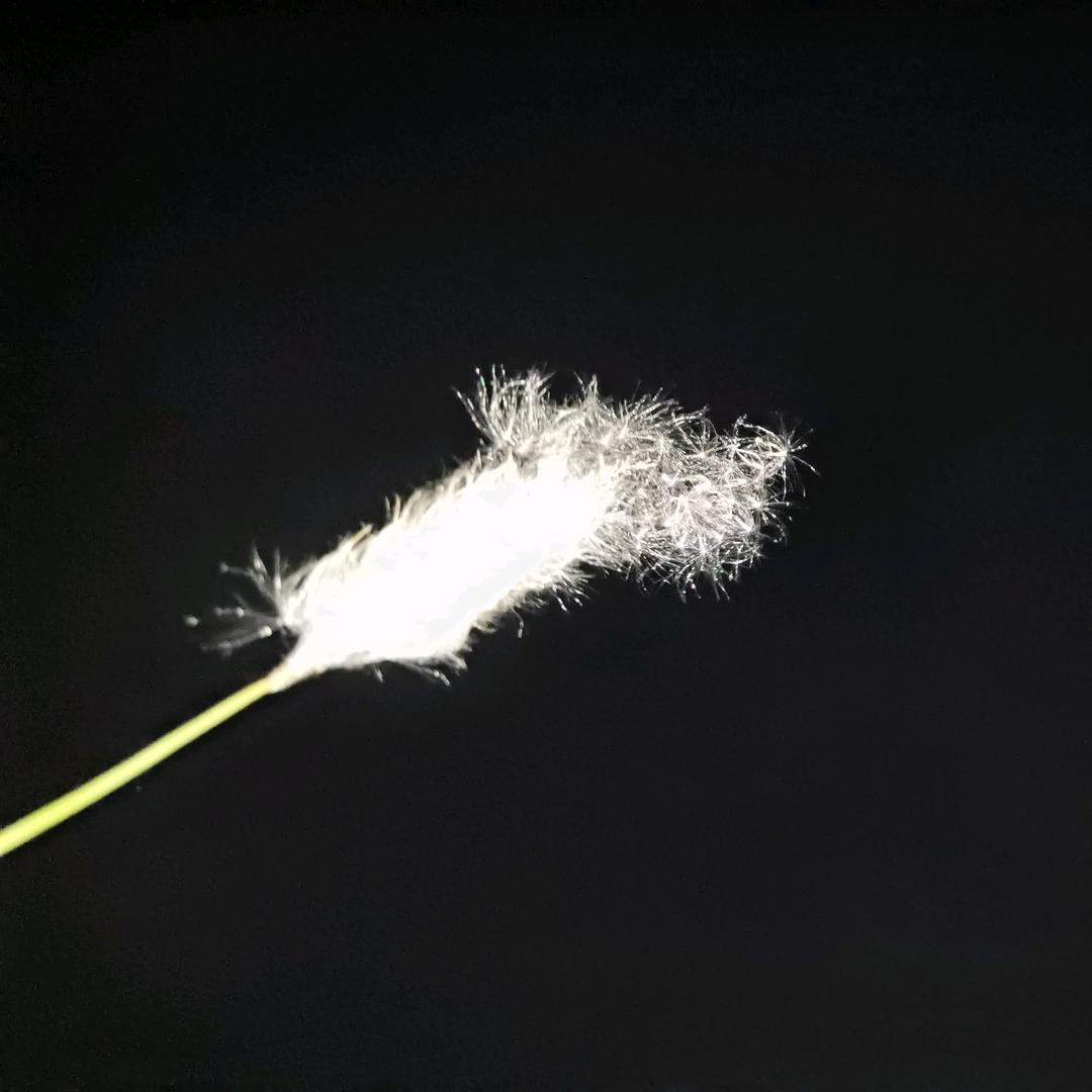 朵朵优品