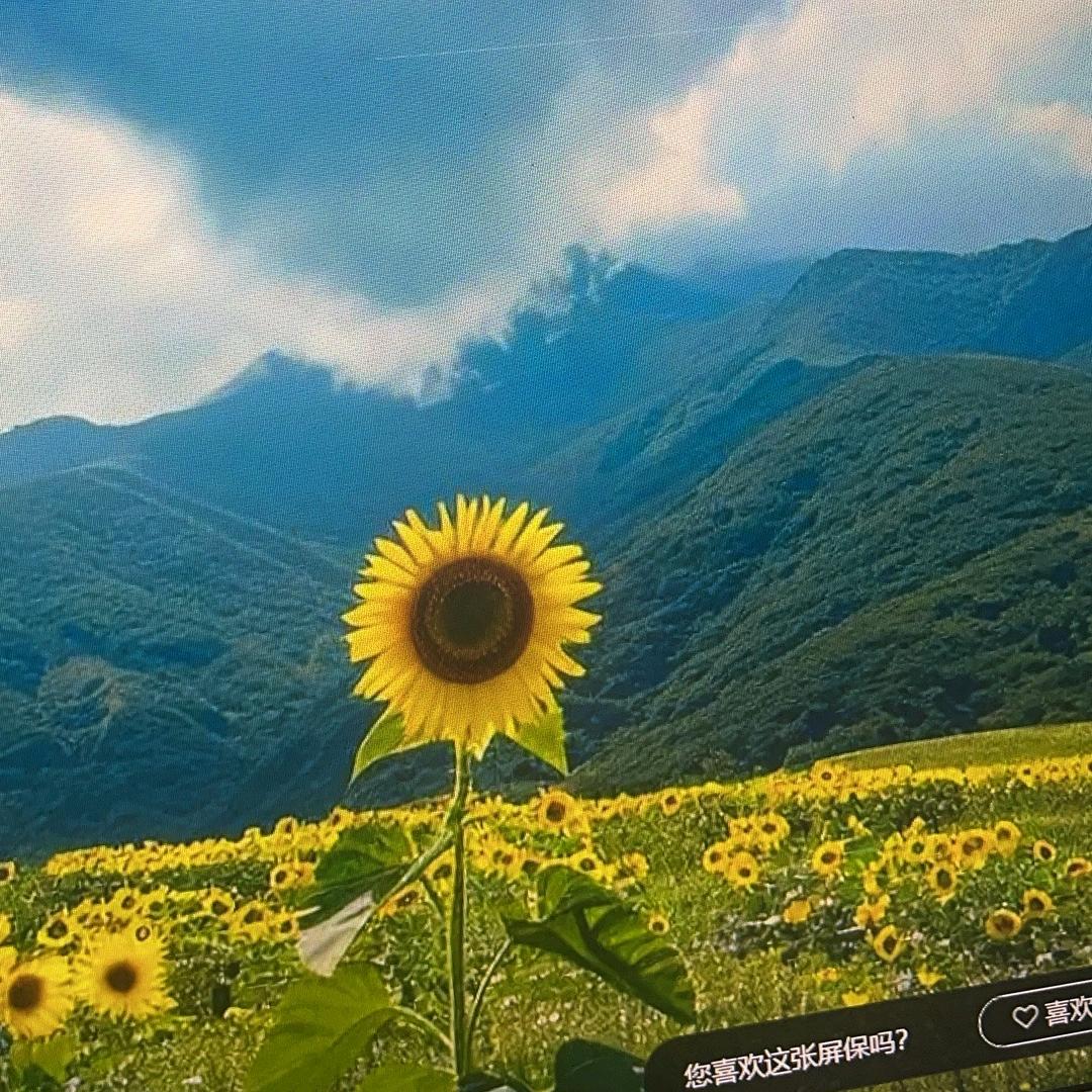 维哥轻奢女装(80后)