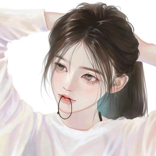 DZY音乐（大嘴鸭）