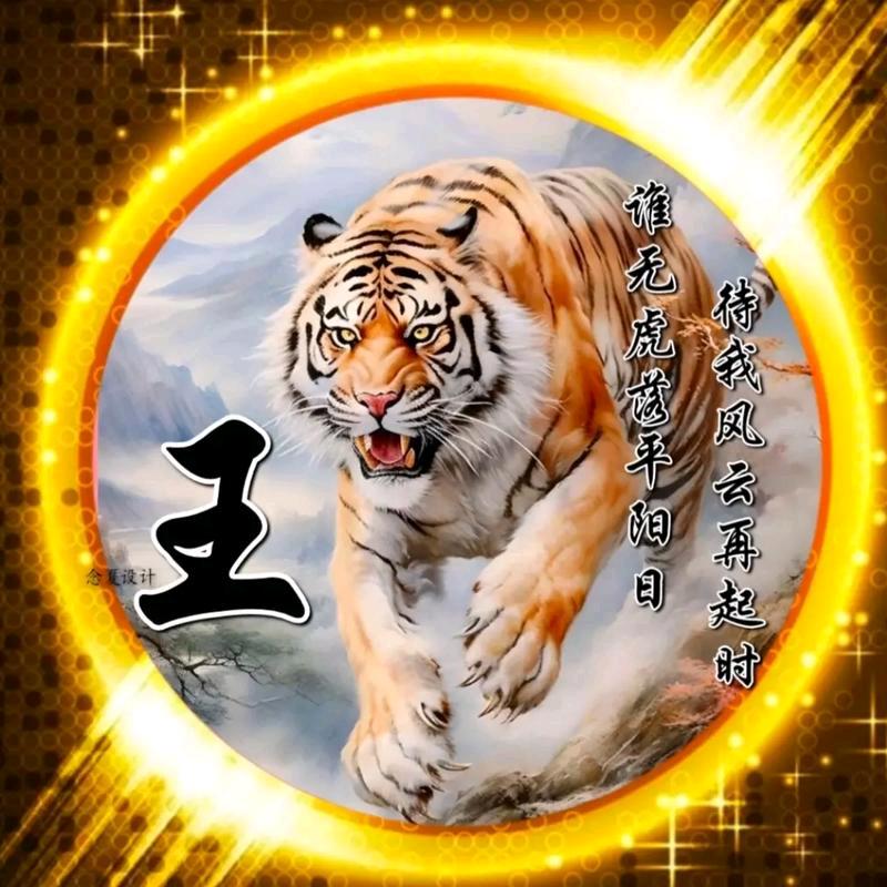 杀人如麻王麻子