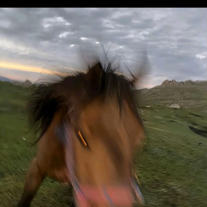 安屠生童话