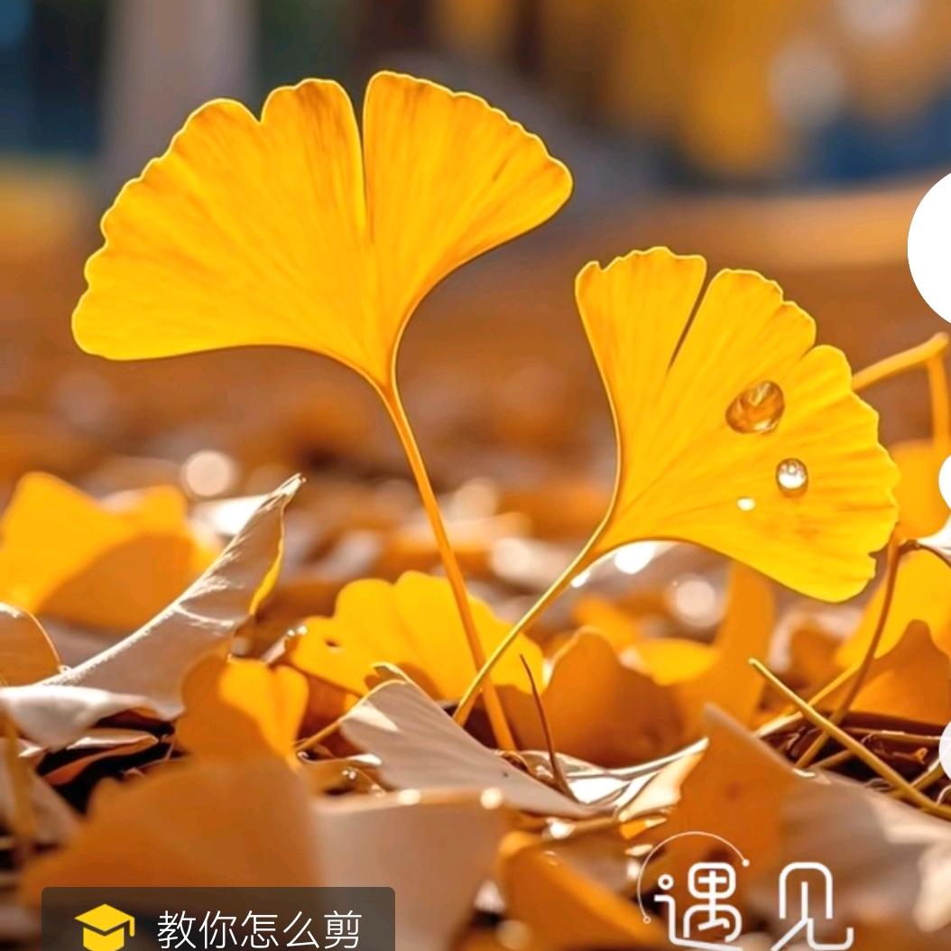 雨中漫步