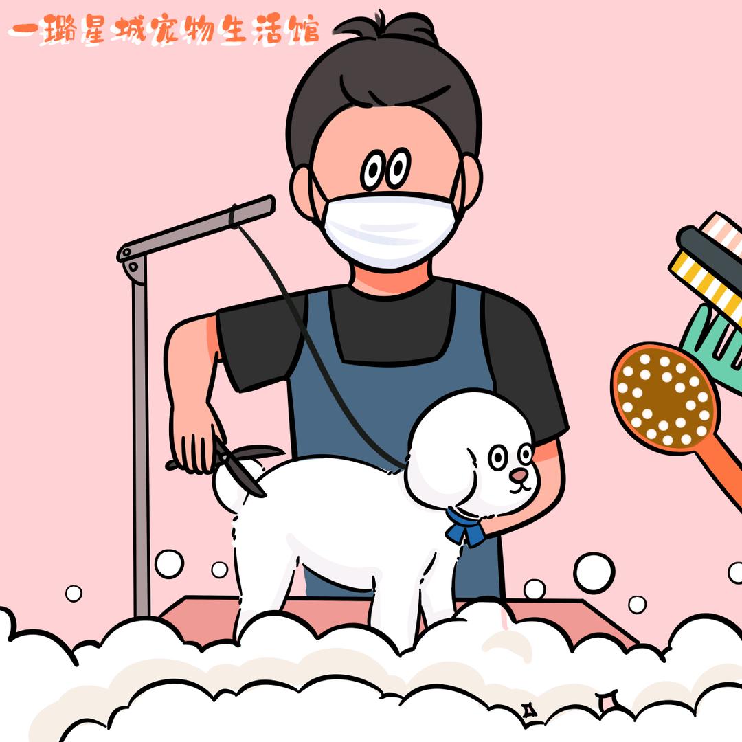 西宁猫狗馋院