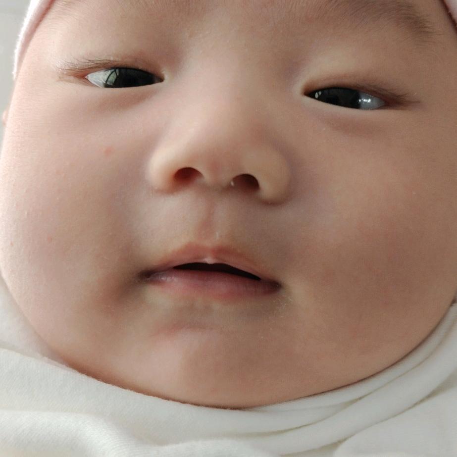 加贝