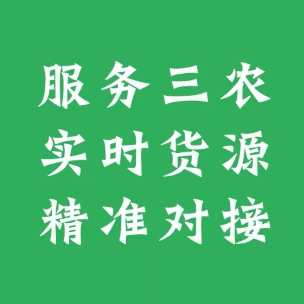 丰收站小程序：农户和采购商的桥梁