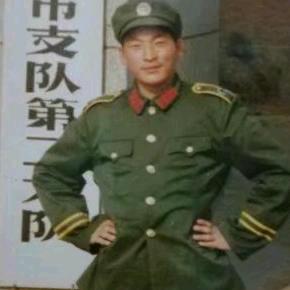 老猫爱小猫