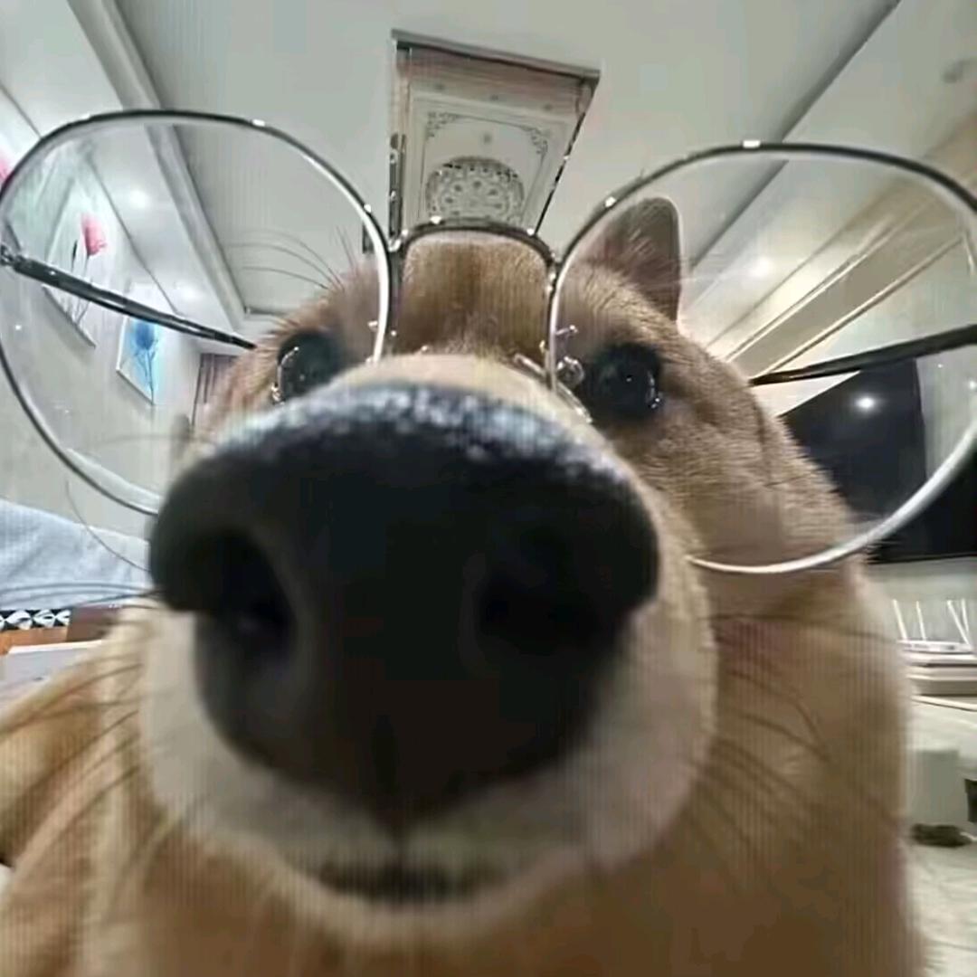墨白丶