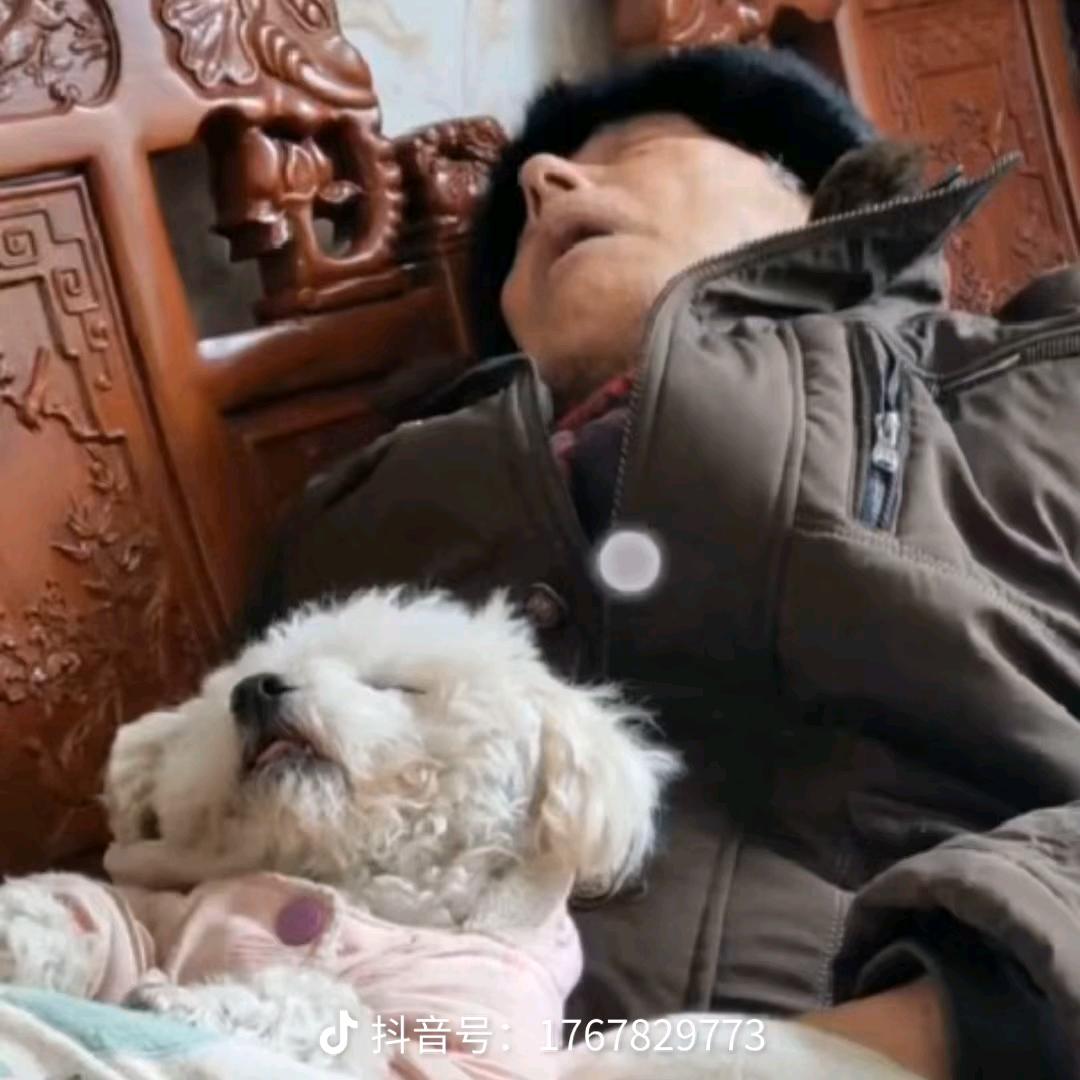 爱吃西瓜不吐籽