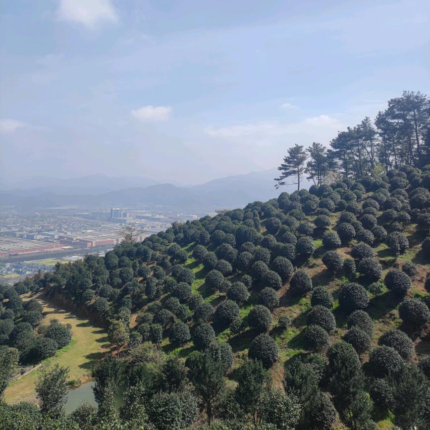 怀念…({以前的我})