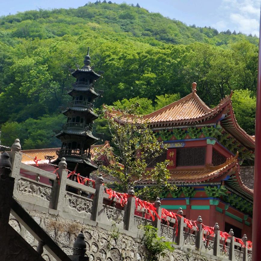 哈尼ling（离异单身）