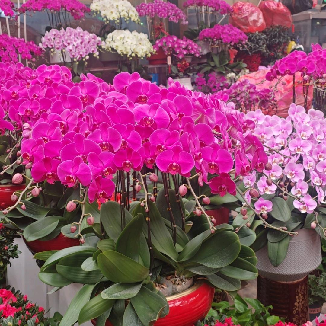 潍坊家电家居MALL（潍城店）