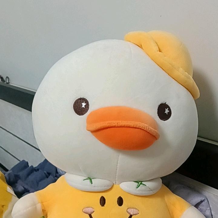 紫色烟花