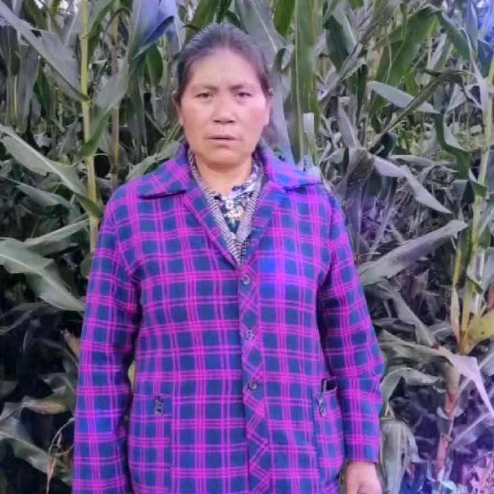 一生快乐