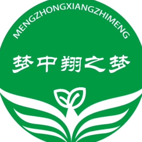 梦中翔之梦