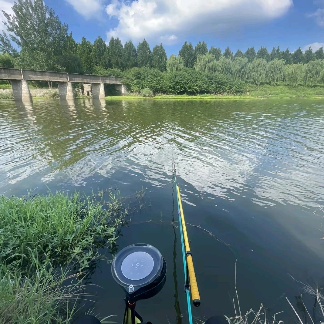 游钓江湖小马哥