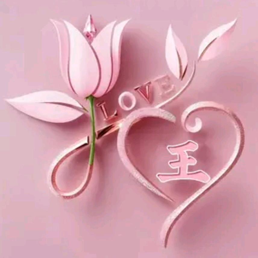 梓昕嘉新