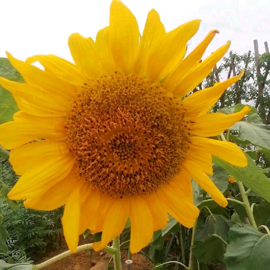 爰你一辈子🌹请勿打扰，请勿连赞，